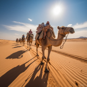 亚伯兰的骆驼! (创12)