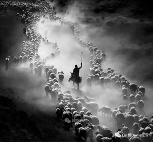 诗｜”战壕三兄弟”！